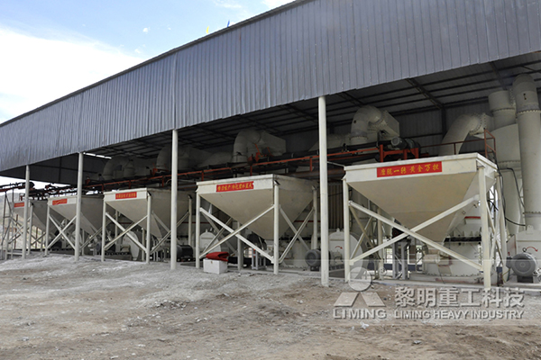 洛陽200目電廠脫硫石灰石粉生產(chǎn)項目(時產(chǎn)20噸生產(chǎn)線)